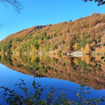 היימבאך Ferienhaus &#039Freund Am See&#039 3 מראה חיצוני תמונה